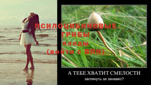 spice Армянск